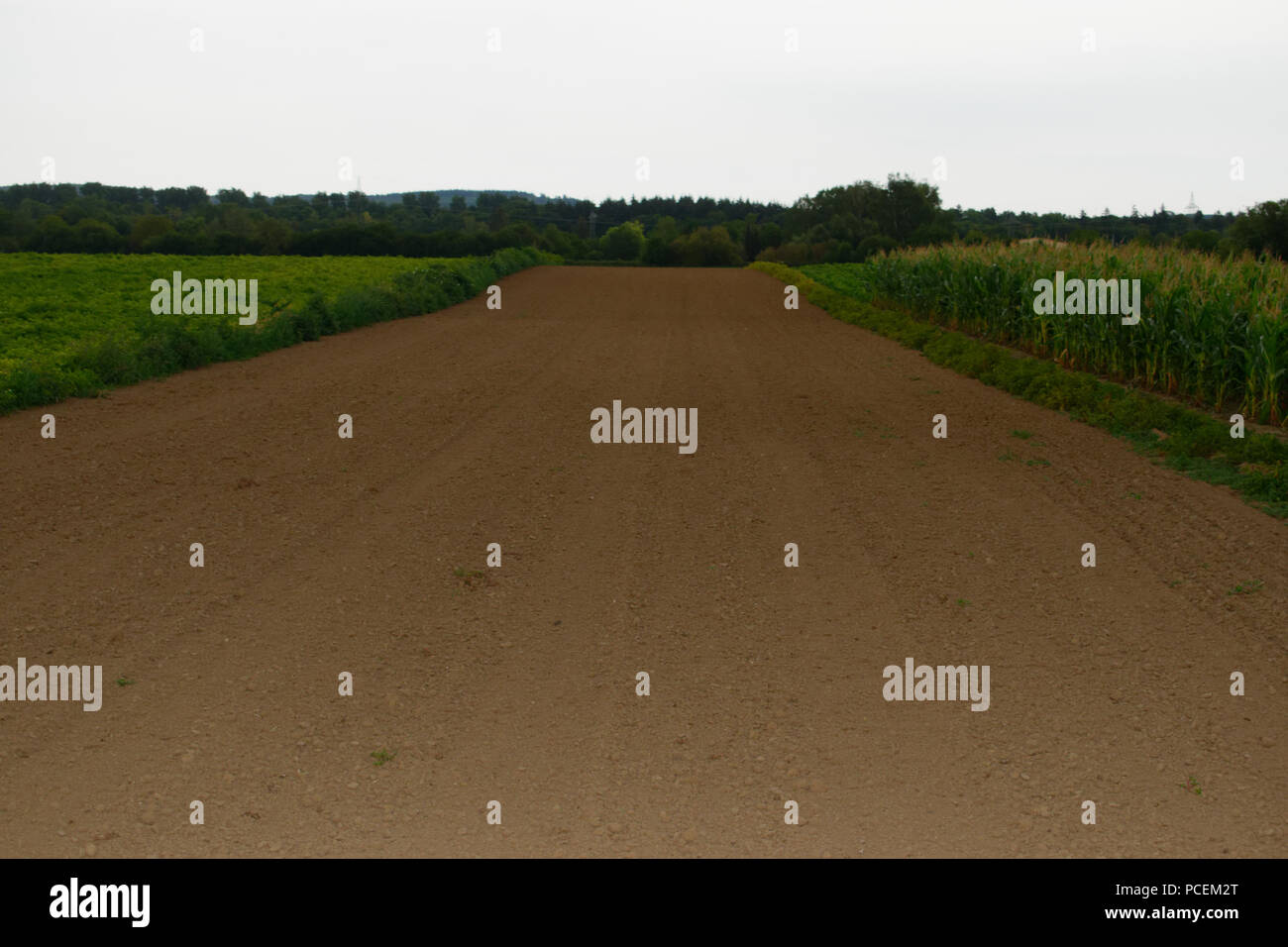 Green feald hi-res stock photography and images - Alamy