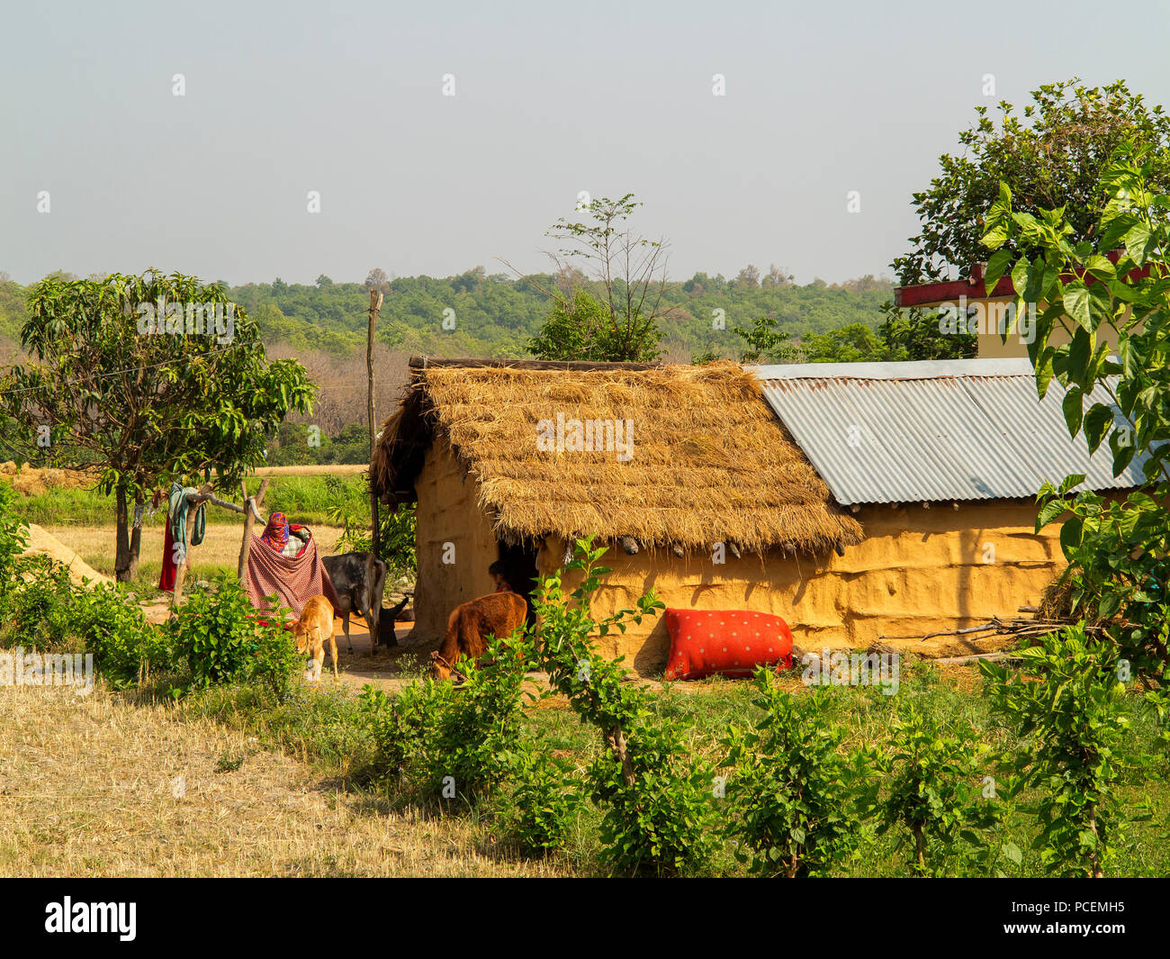 Grass Hut at Pawalgarh Village, Uttarakhand, India Stock Photo Alamy
