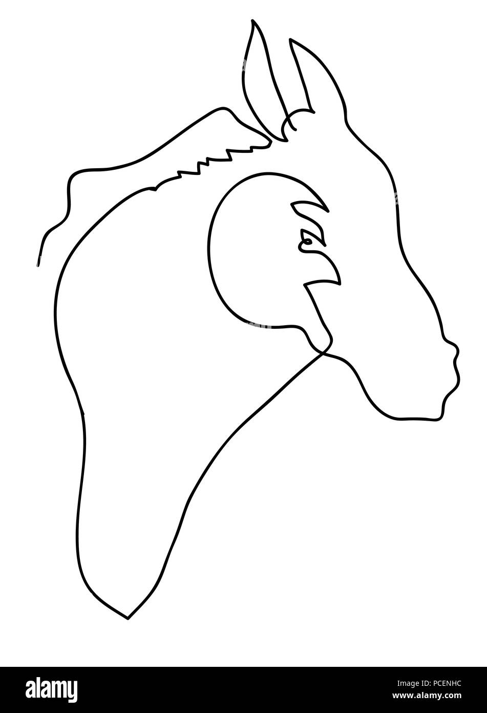 Horse head  Black and white simple line drawing of horse illustration. Stock Photo