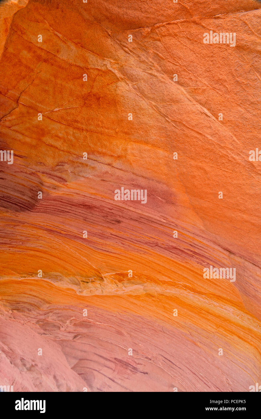 Weathered Red Rocks Weathered red rock formations along the White Dome trail, Valley of ...