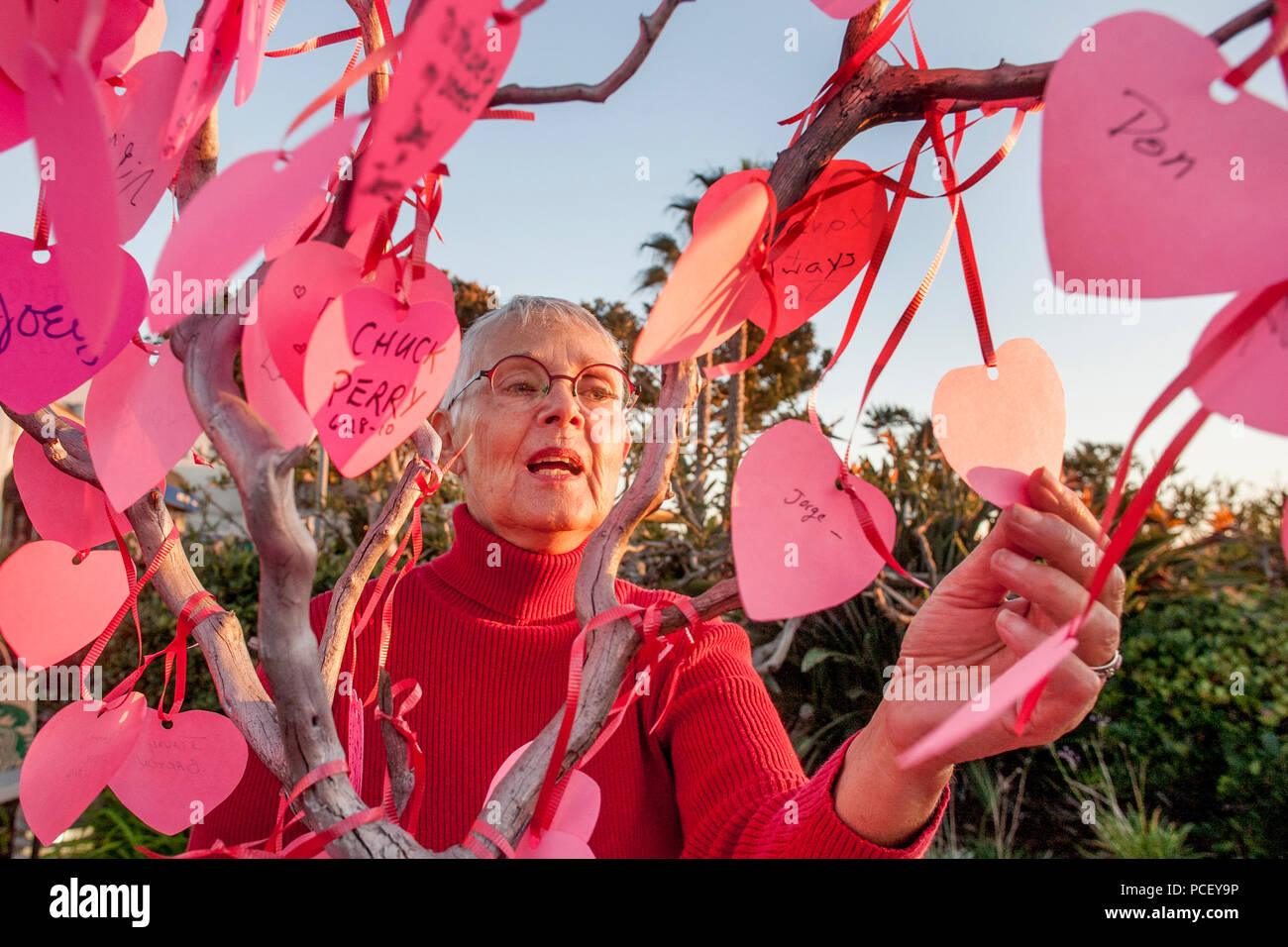 A mature female senior adds the name of a local AIDS victim to a tribute tree during memorial observances in Laguna Beach, CA.  (Photo by Spencer Grant) Stock Photo
