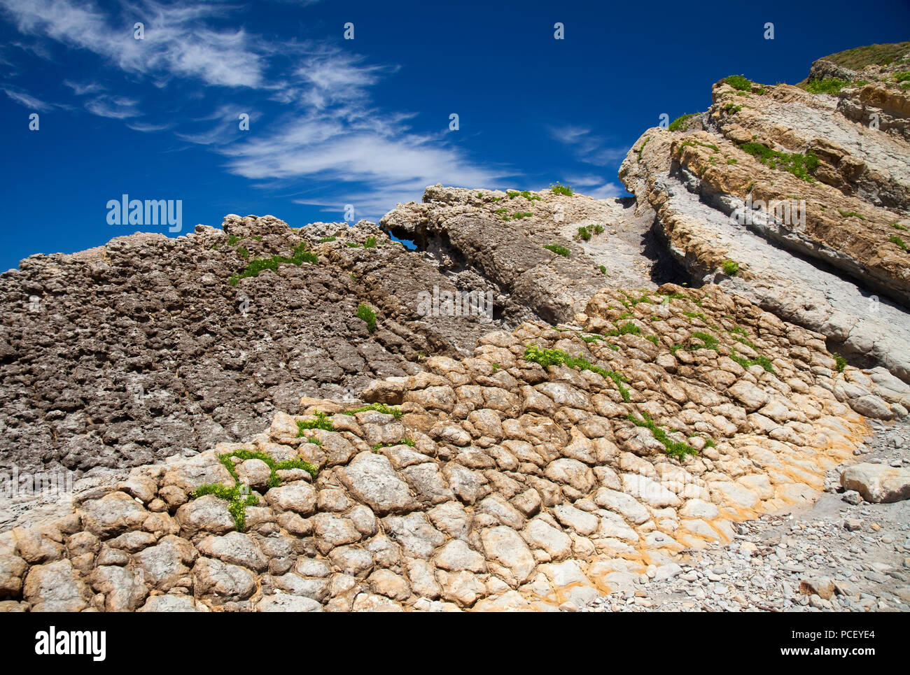 Cantabria, Costa Quebrada light color rock around Playa El Madero beach, rock samphire growing Stock Photo