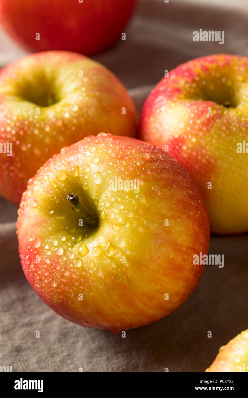 Raw Red Organic Honeycrisp Apples Ready to Eat Stock Photo Alamy