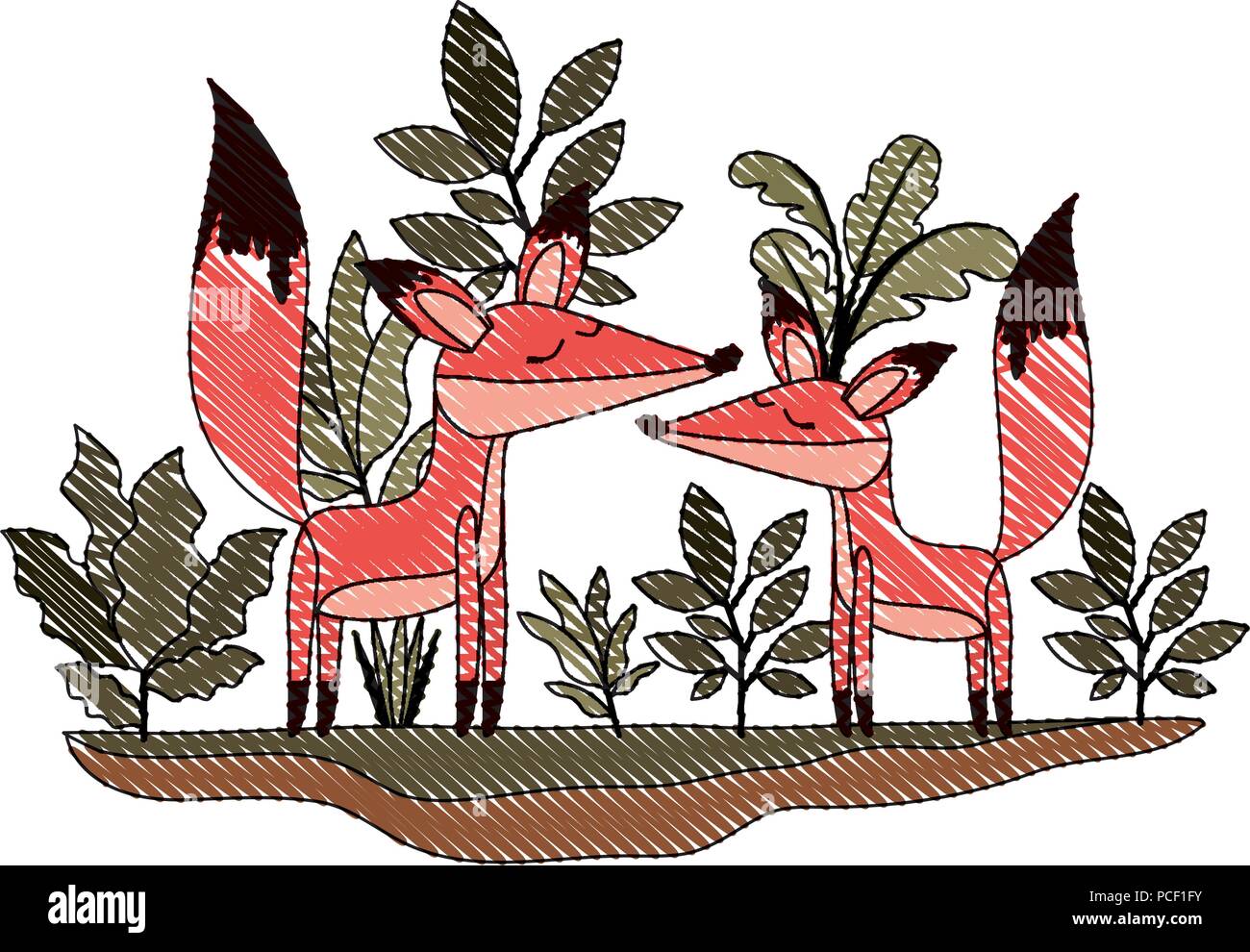 wild foxes couple in the jungle Stock Vector Image & Art Alamy