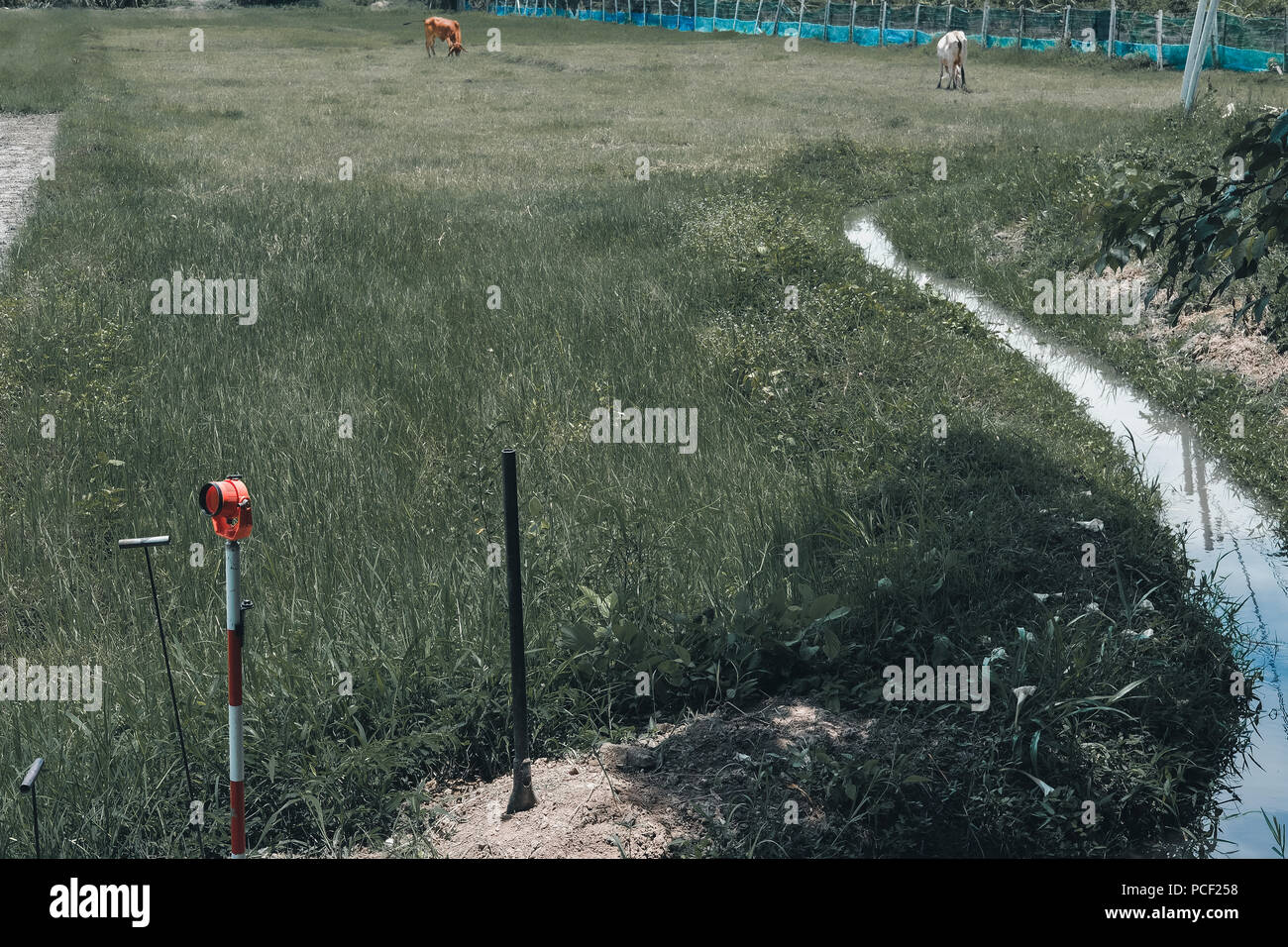 land surveyor using pole for measuring ground control point. metal