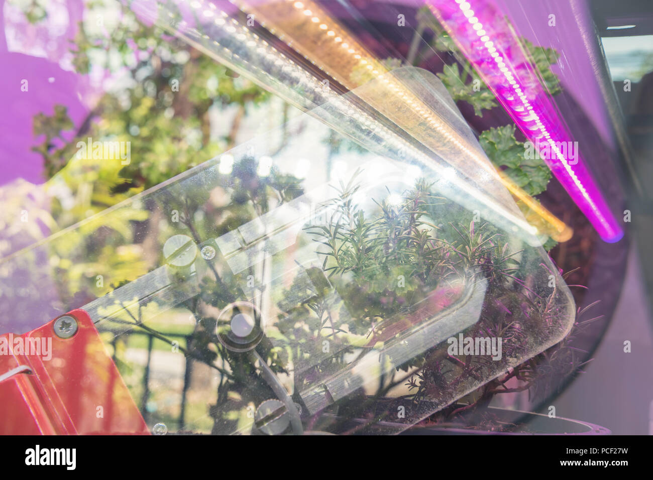carbon dioxide measuring device for measuring photosynthesis of plant
