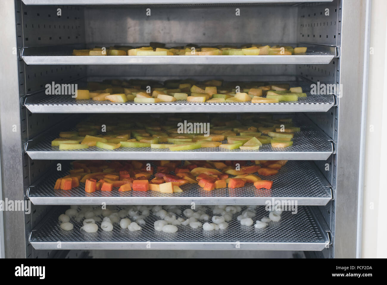 tropical fruit drying in hot air oven. dried cantaloup, mango, carrot, longan on stainless tray Stock Photo