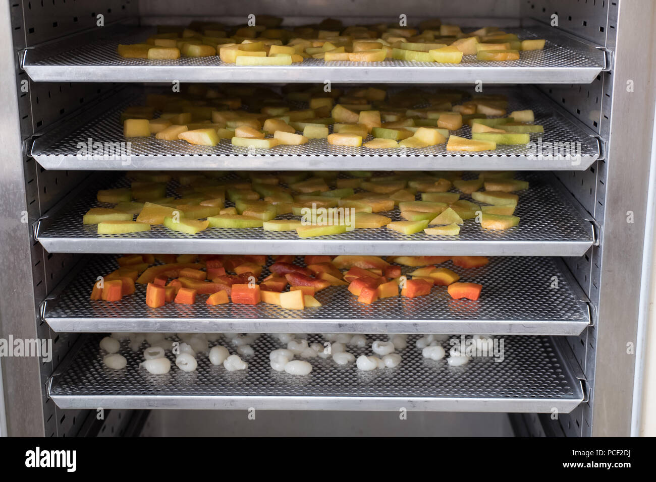 tropical fruit drying in hot air oven. dried cantaloup, mango, carrot