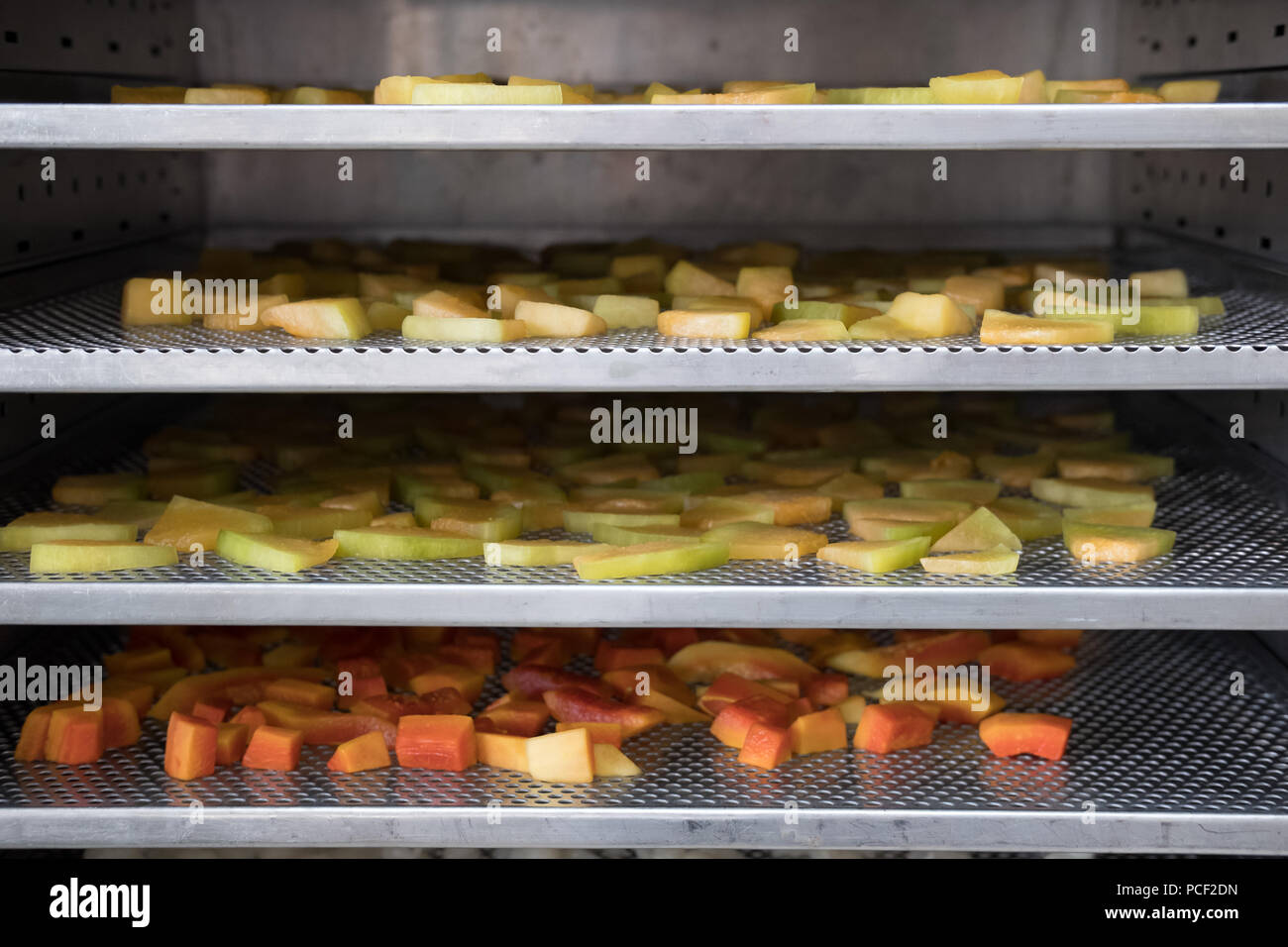 tropical fruit drying in hot air oven. dried cantaloup, mango, carrot on stainless tray Stock Photo