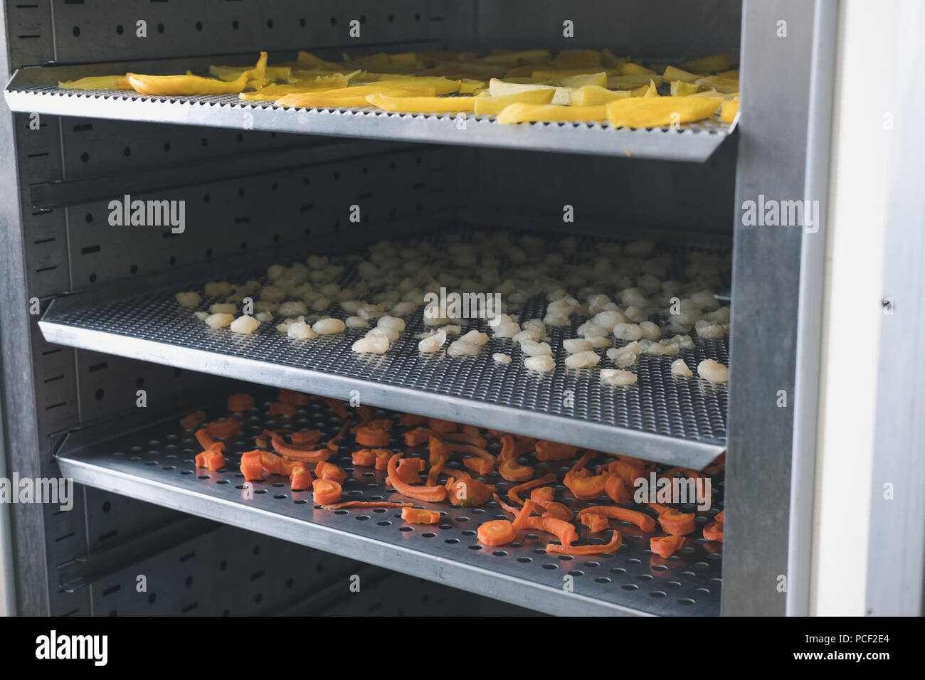 tropical fruit drying in hot air oven. dried mango, carrot, longan on stainless tray Stock Photo