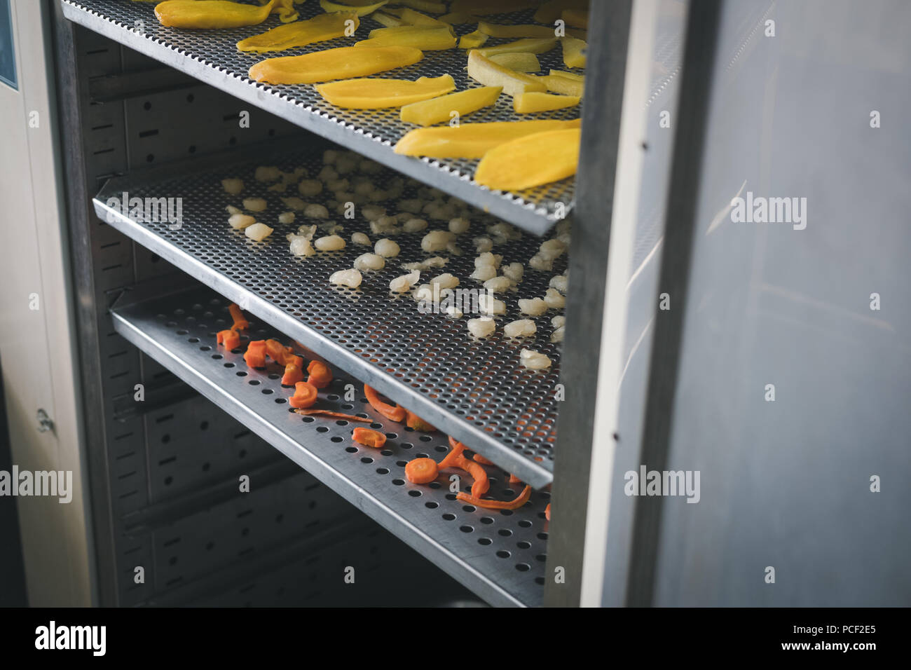 tropical fruit drying in hot air oven. dried mango, carrot, longan on stainless tray Stock Photo