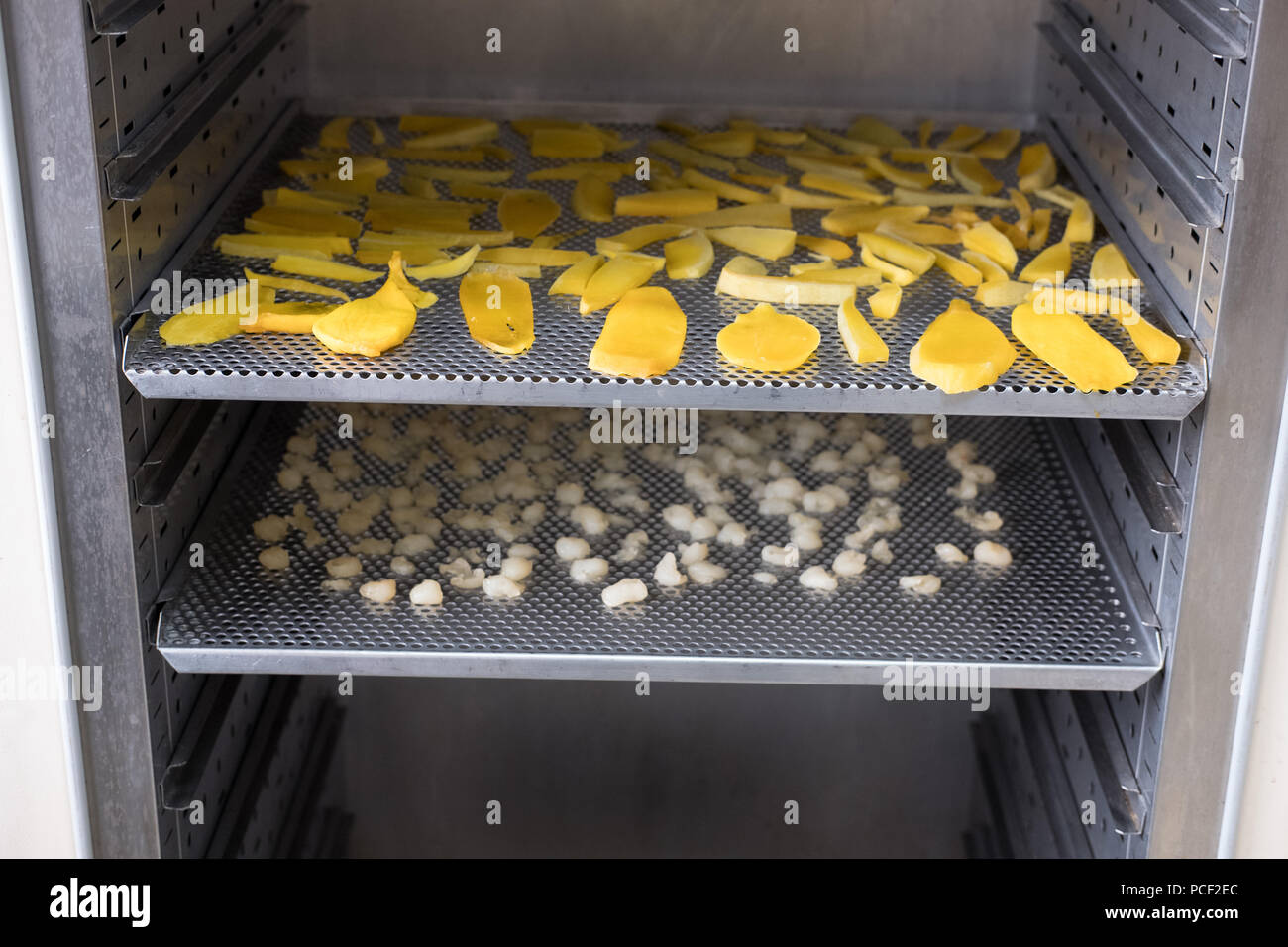tropical fruit drying in hot air oven. dried mango, longan on stainless tray Stock Photo