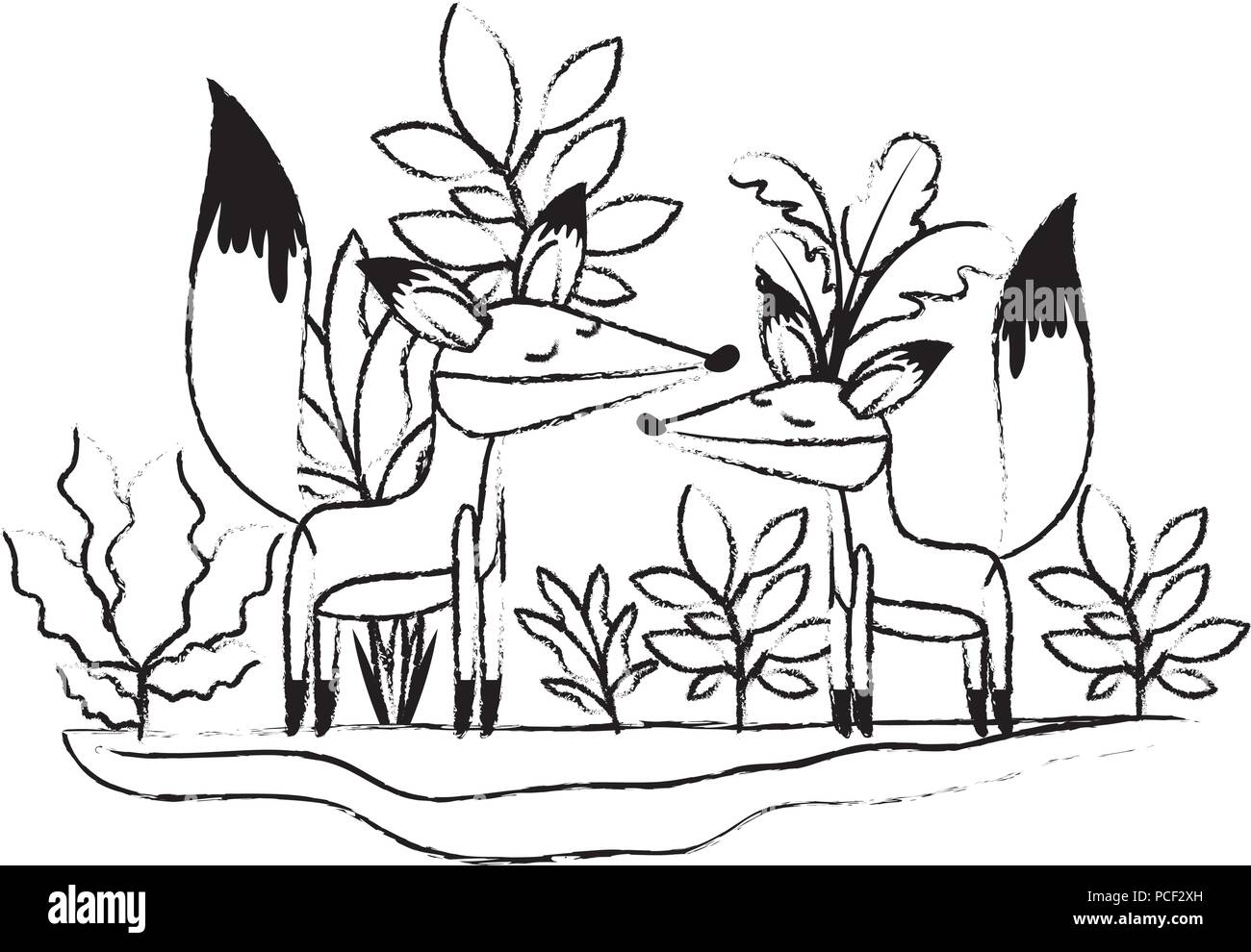 wild foxes couple in the jungle Stock Vector Image & Art Alamy
