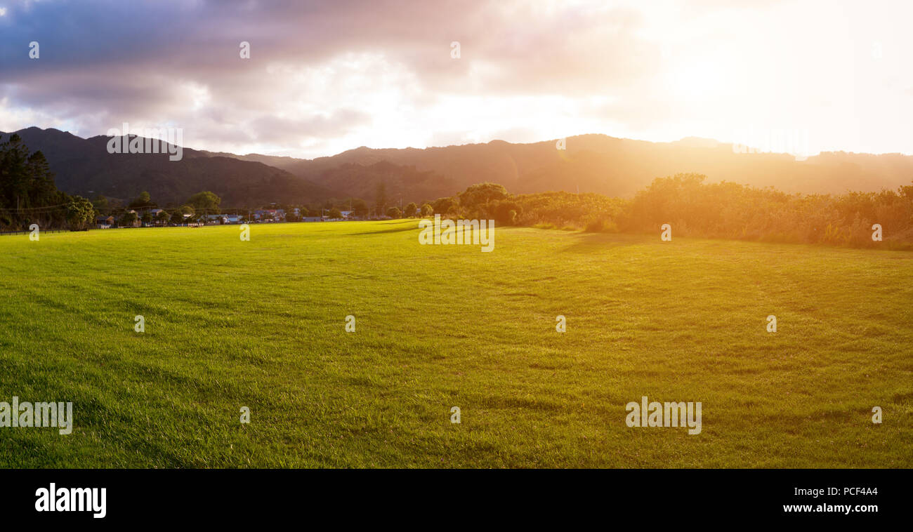 New Zealand green field sunrise or sunset Stock Photo