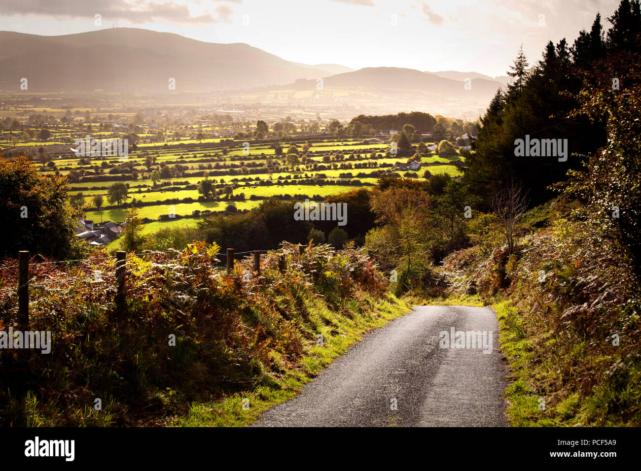 Country Road at Ring of Gullion Stock Photo