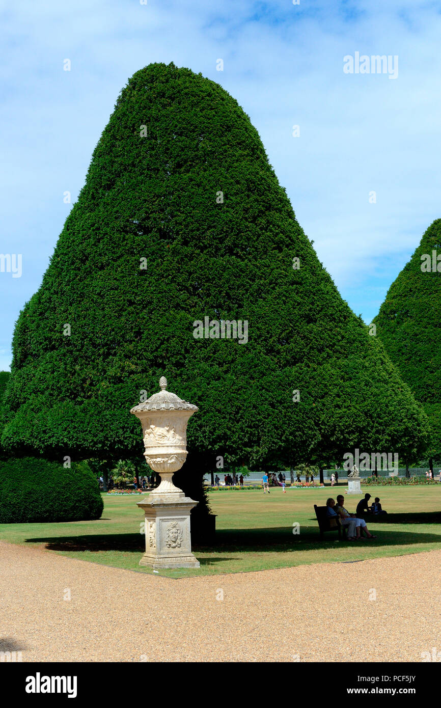 Eiben in Formschnitt, Eibenallee, Taxus baccata, Hampton Court Palace, England, Grossbritannien, Europa, Formschnitteibe Stock Photo