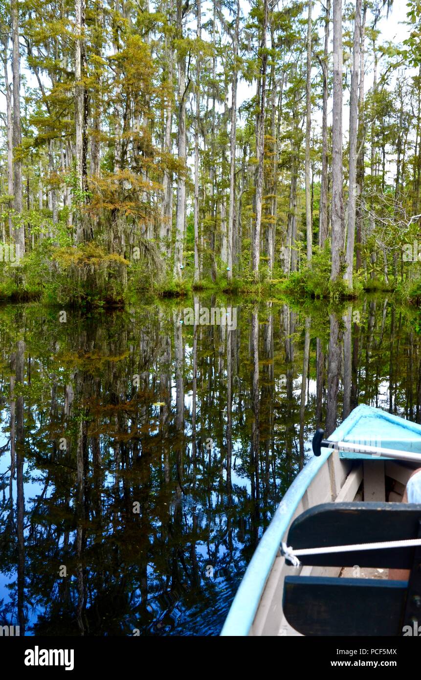 Row boat in Cypress Gardens South Carolina, Moncks Corner, summer