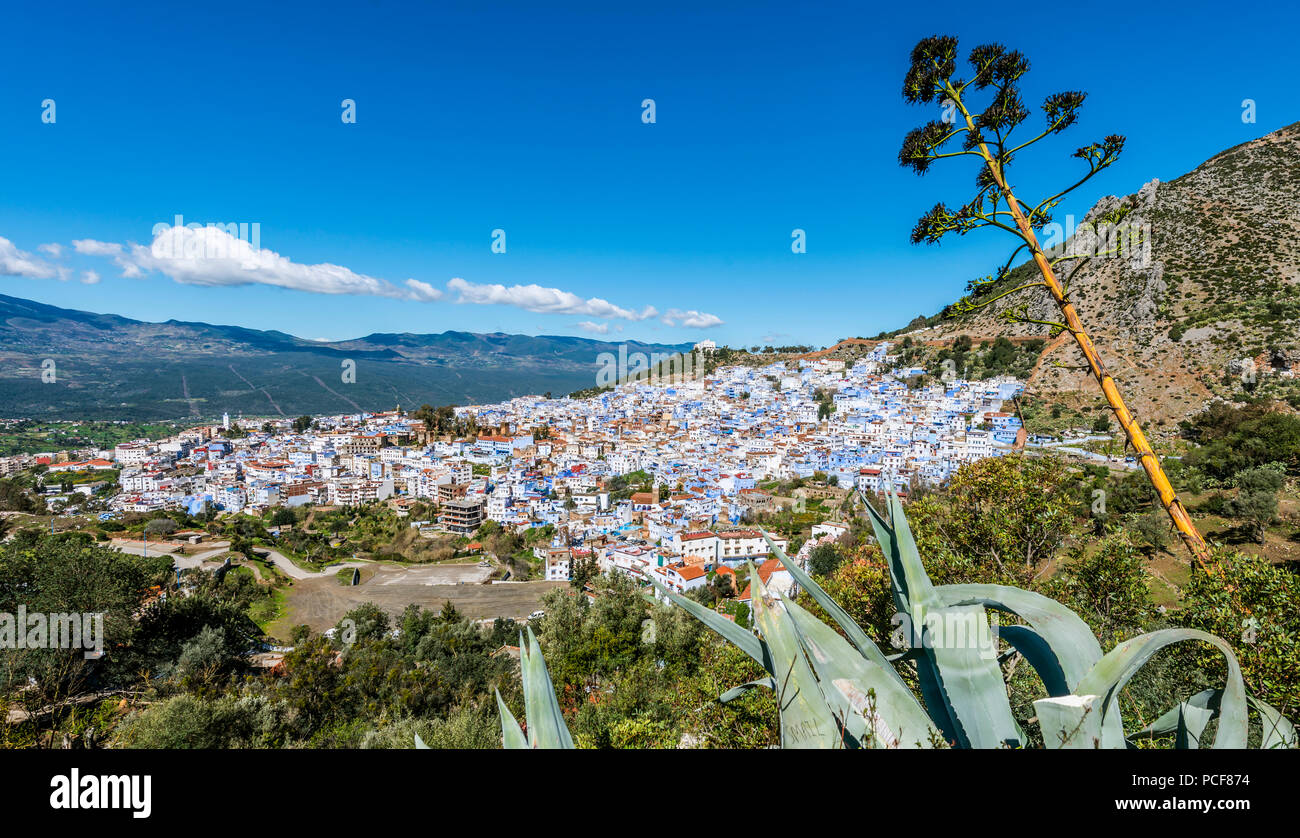 View on Chefchaouen, Chaouen, reef mountains, Tangier-Tétouan, Morocco, Africa Stock Photo