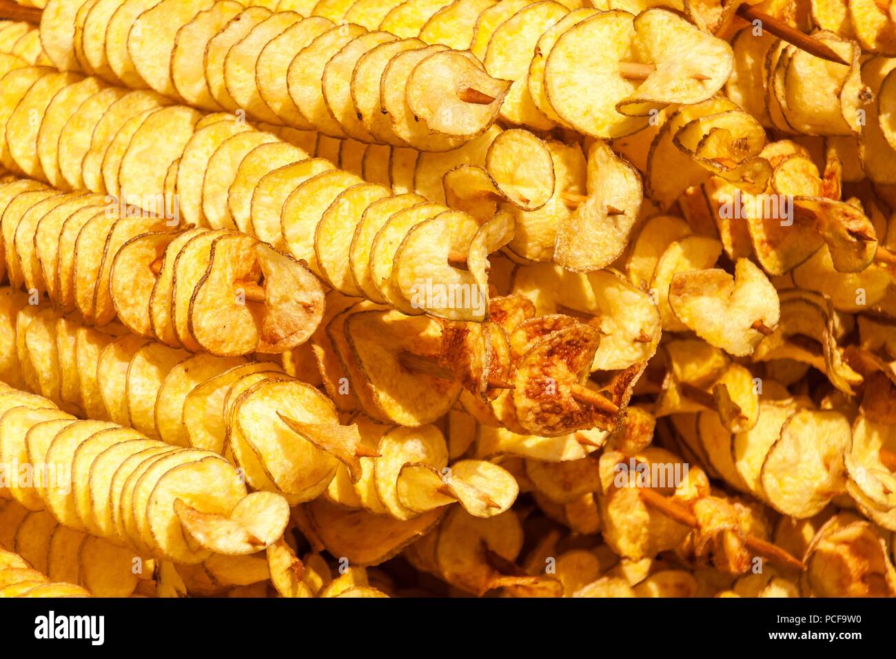 Spiral potatoes fried, on wooden sticks, spiral. Selling food at the
