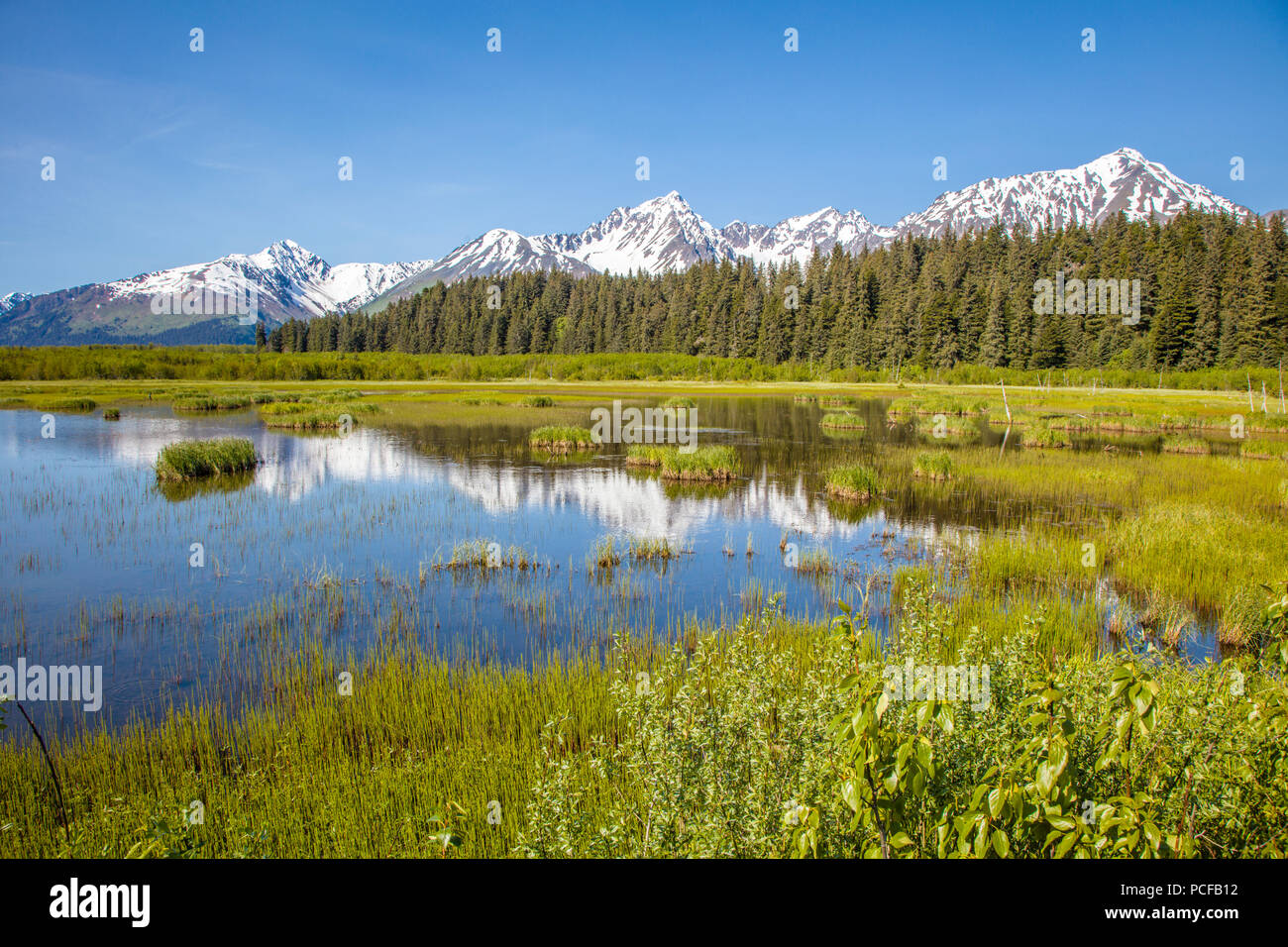 Snow capped mountains reflecting in ponds in the town of Seward on the Kenai Peninsula of Alaska Stock Photo