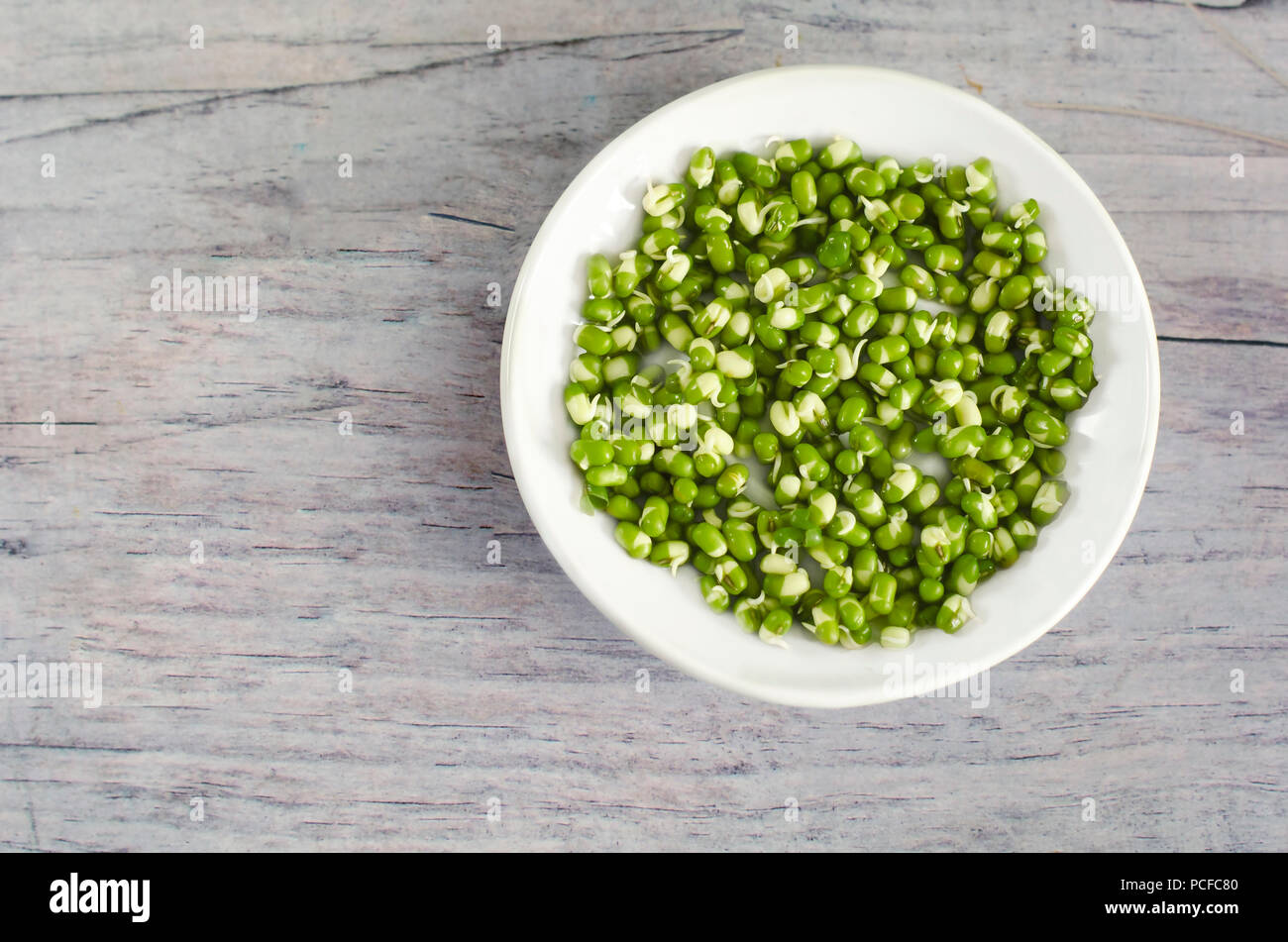 Sprouted mung beans. Sprouted mung beans on white plate. Mung beans sprouts background. Bean sprouts. Green radiata vigna. Stock Photo