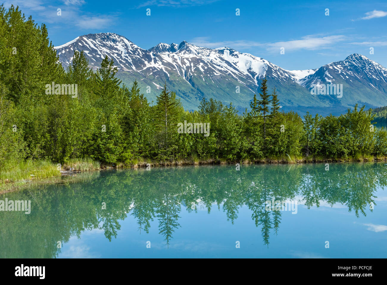 Trees refleting in calm turquoise water of Upper Trail Lake in Moose