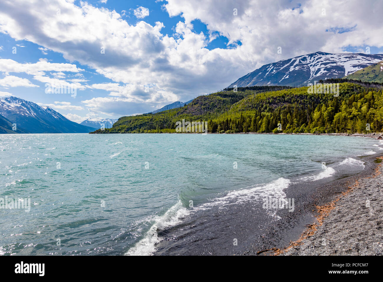 turquoise Kenai Lake on the Kenai Peninsule in Alaska Stock Photo Alamy