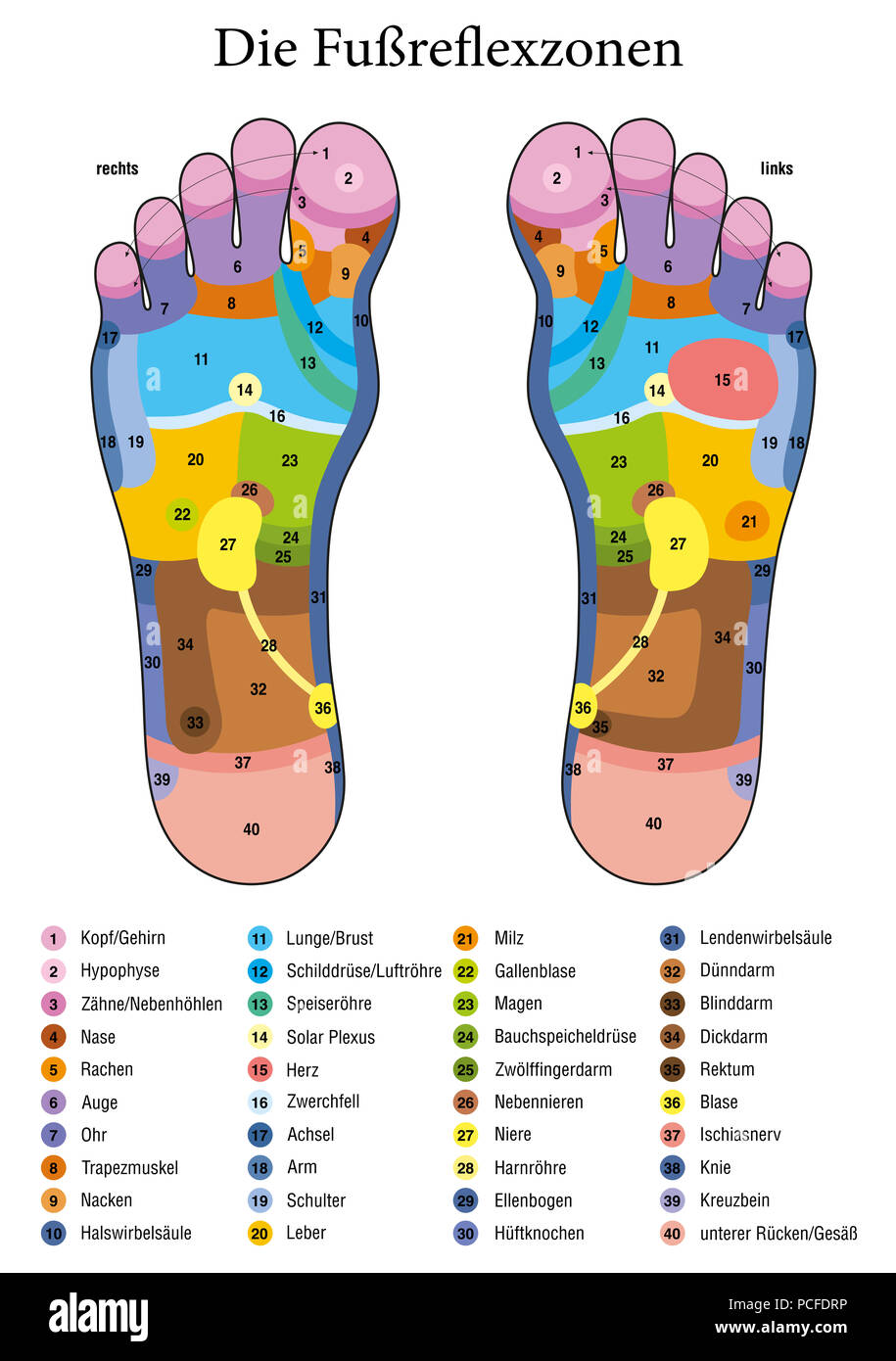 Foot reflexology. German names. Alternative acupressure and physiotherapy health treatment. Zone massage chart with colored areas. Stock Photo