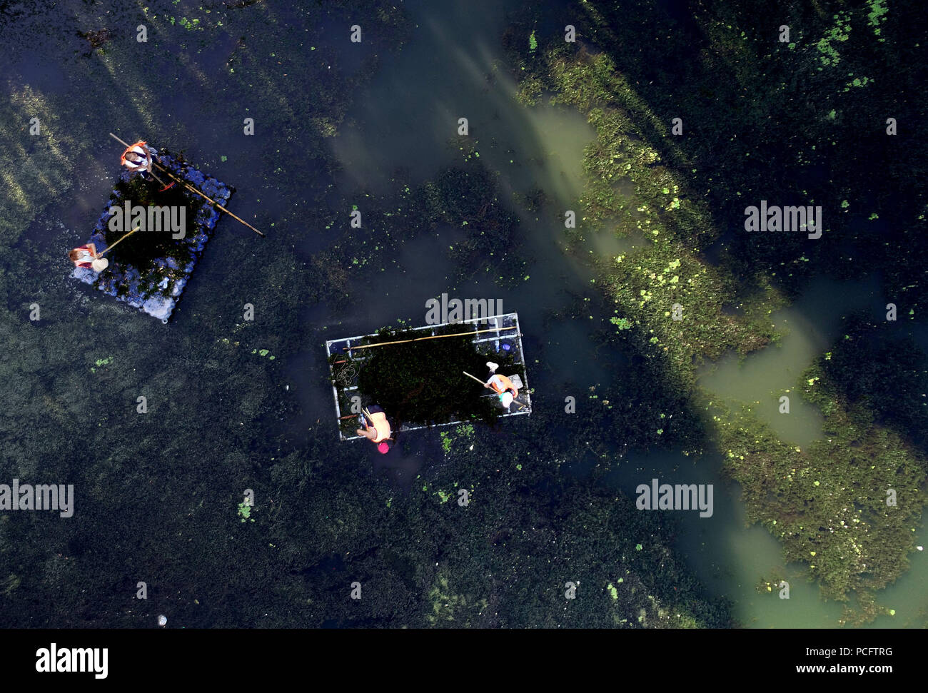 Shenyan, Shenyan, China. 2nd Aug, 2018. Shenyang, CHINA-Workers clean up waterweeds at a canal in Shenyang, northeast China's Liaoning Province. Credit: SIPA Asia/ZUMA Wire/Alamy Live News Stock Photo