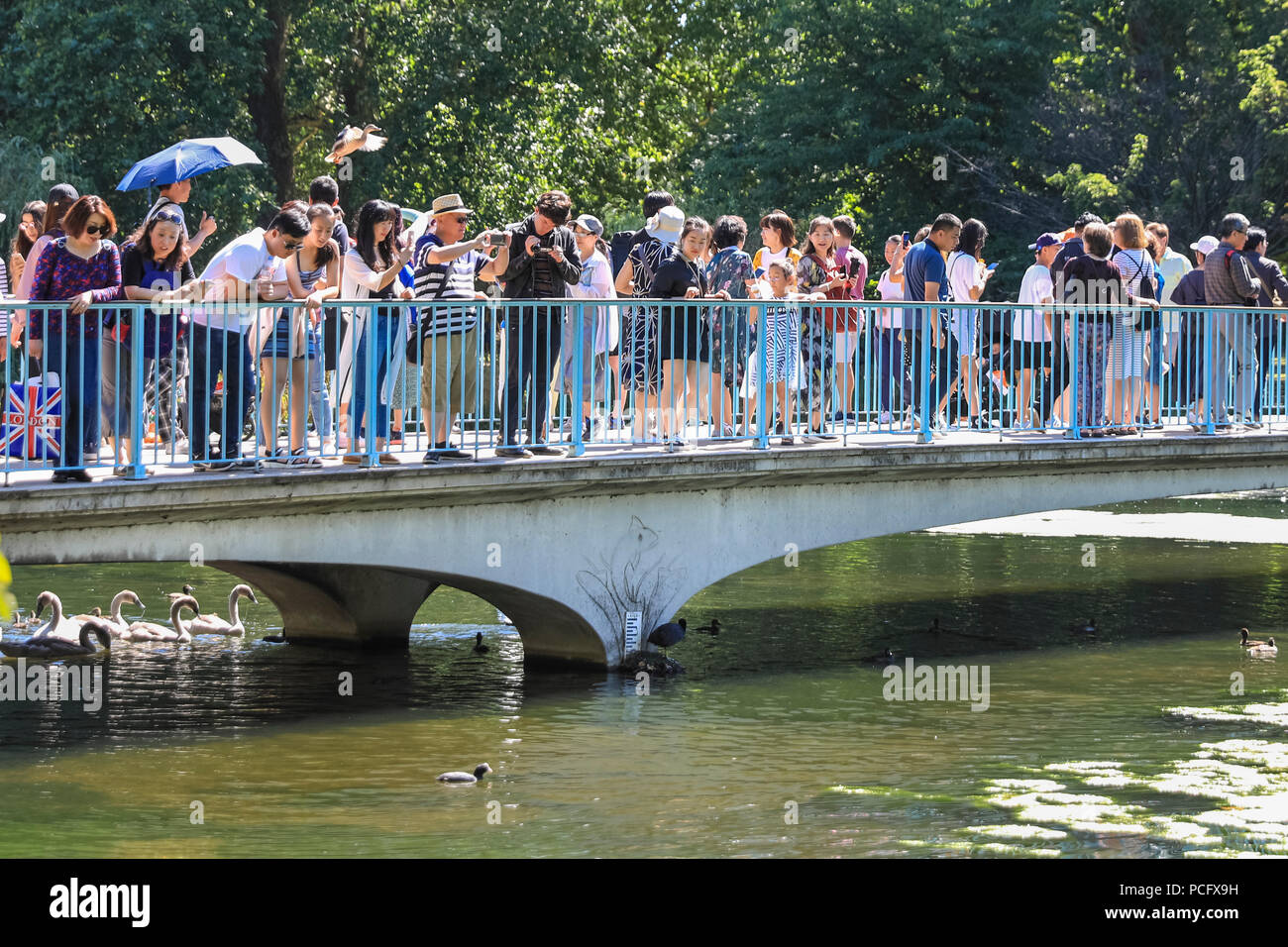 St James's Park, London, UK, 2nd August 2018. Tourists crowd onto the Blue Bridge, a footbridge across the lake. Tourists and wildlife seek respite from the hot London temperatures near the lake in St James's Park. Credit: Imageplotter News and Sports/Alamy Live News Stock Photo