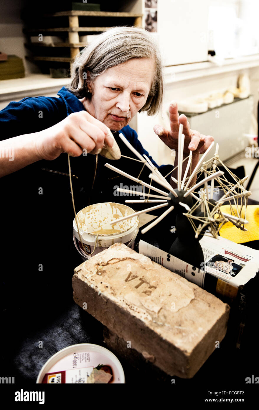 Portrait and serie of conceptual artist Martine De Bruyn and her work