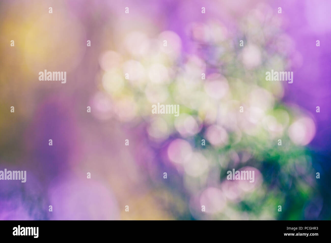 Beautiful dreamy magic pink white green abstract colorful blurry ...