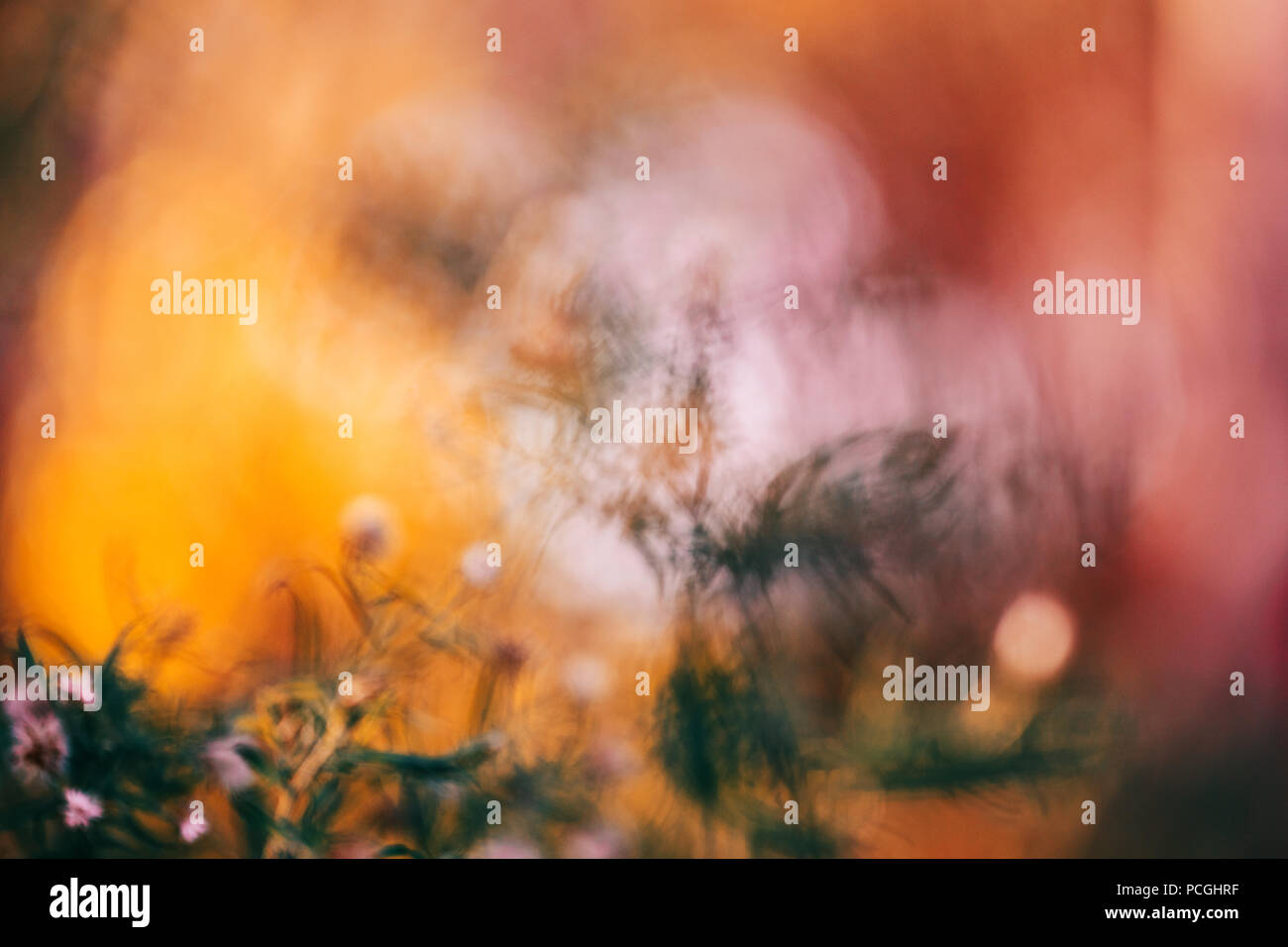 Beautiful colorful fairy dreamy magic yellow red flower blurry background, toned with instagram filters,  macro closeup nature image shot wallpaper ca Stock Photo