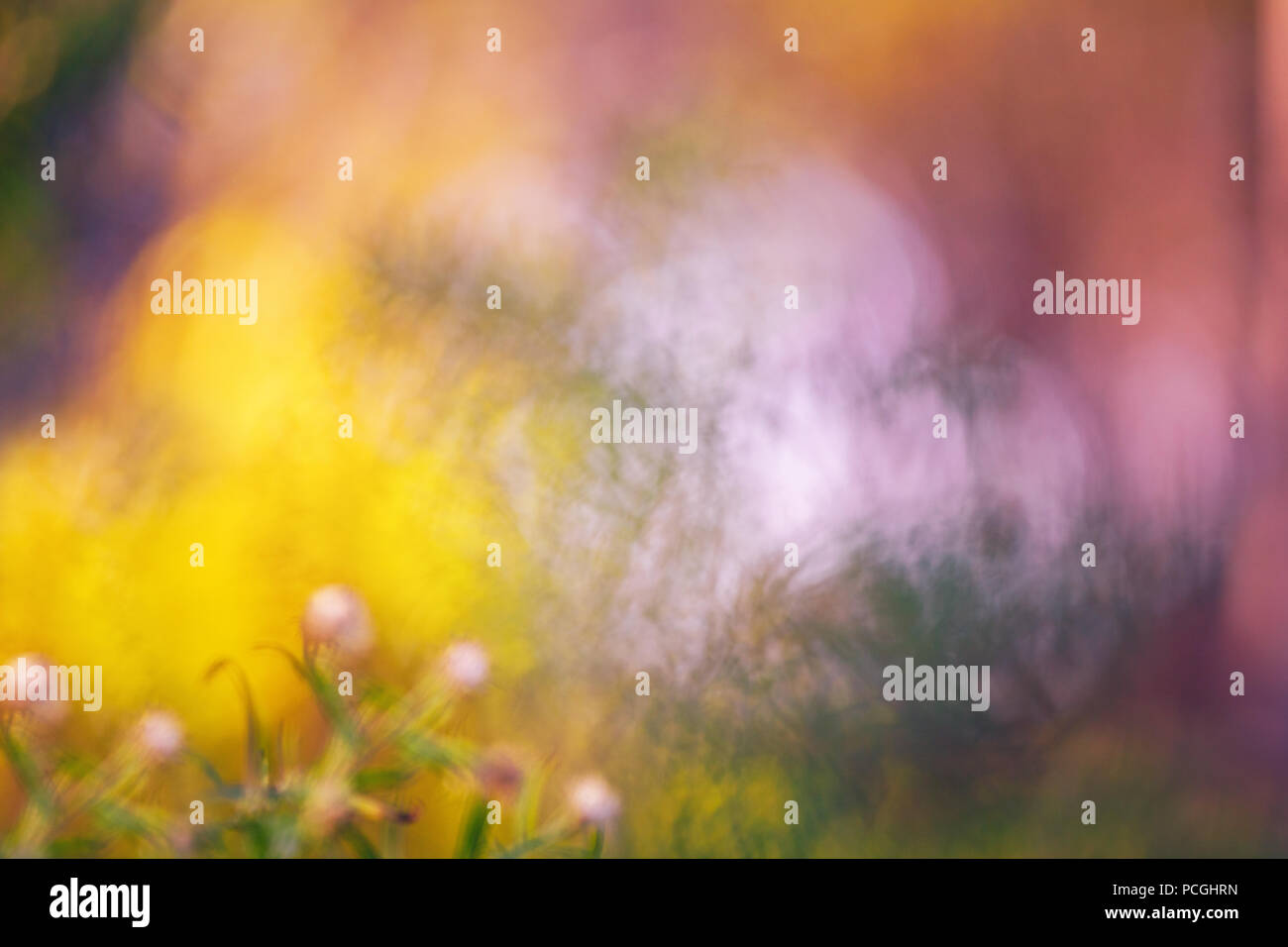 Beautiful Colorful Fairy Dreamy Magic Yellow Red Flower