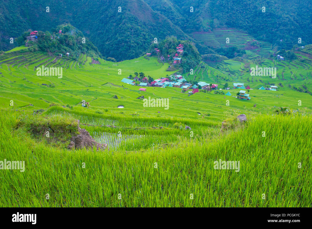 View of rice terraces fields in Banaue, Philippines. The Banaue rice