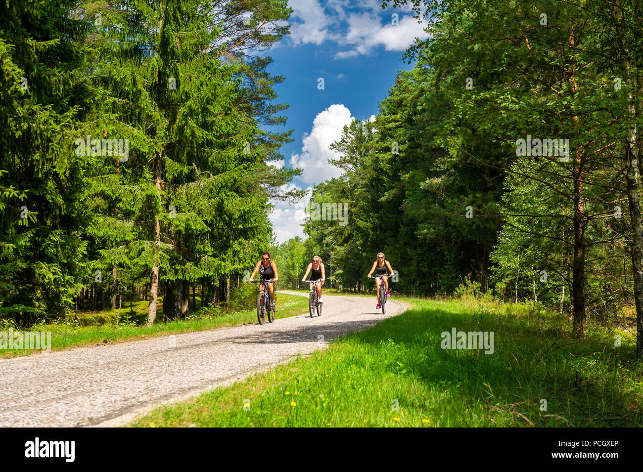 three women ride bicycles Stock Photo