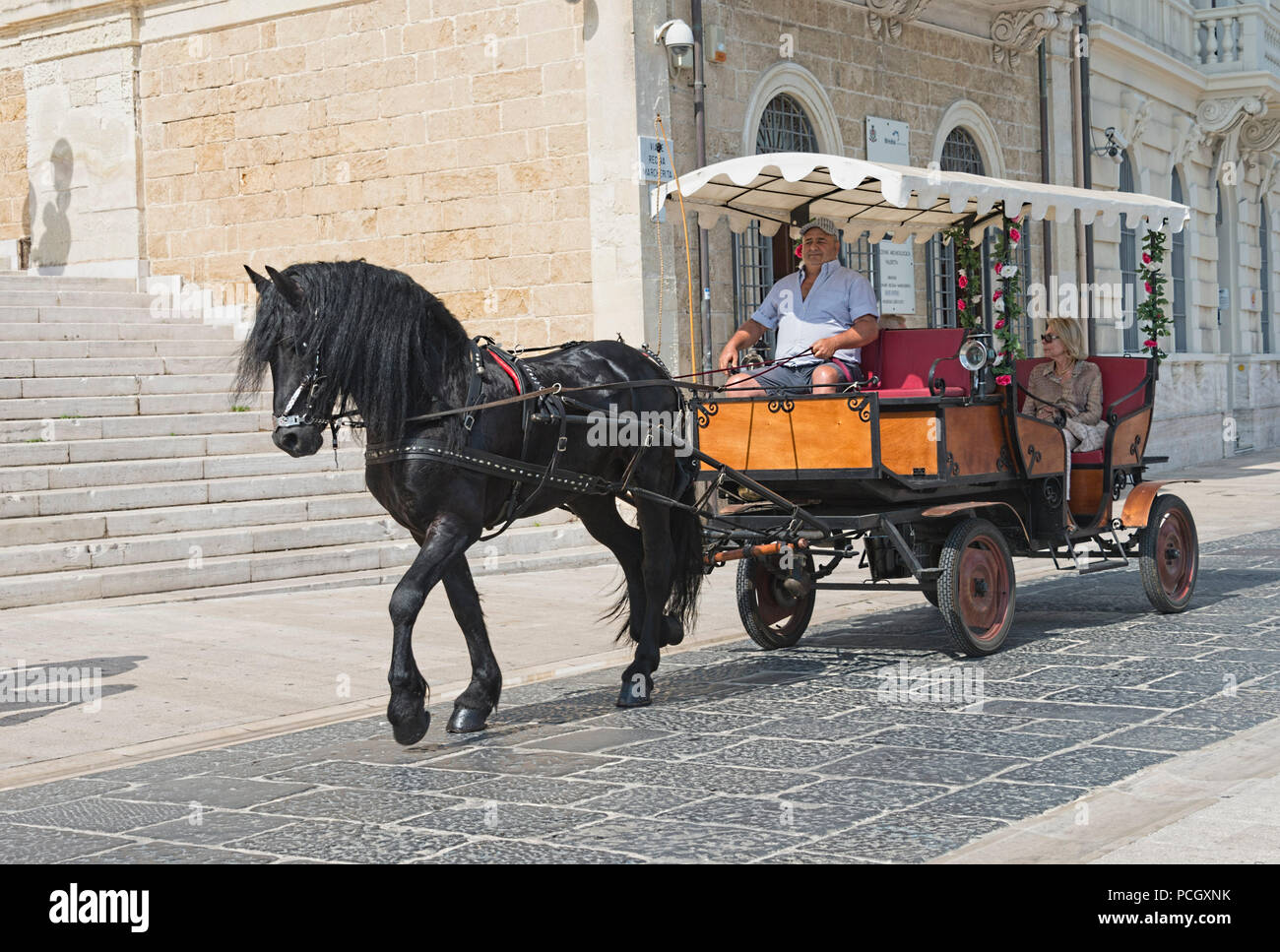 Black horse pulling a carriage in the small town of Brindisi Italy