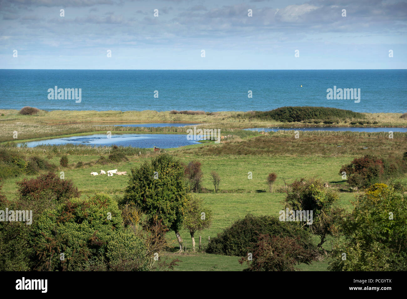 Marsh of Ver-sur-Mer (Normandy, north-western France) Stock Photo