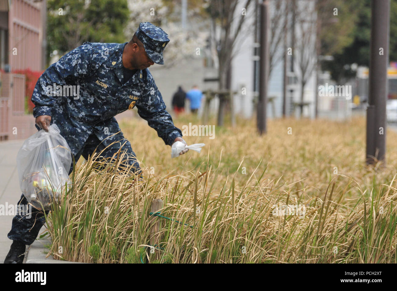 YOKOSUKA, Japan (March 23, 2013) Chief Master-at-Arms Maurice Alcorn, assigned to Fleet Activities Yokosuka, picks up trash in a common area outside the installation. Alcorn, along with other Sailor and members of the Yokosuka community, led by Yokosuka's Coalition of Sailors Against Destructive Decisions, spent Saturday afternoon cleaning up areas outside Fleet Activities Yokosuka. Stock Photo