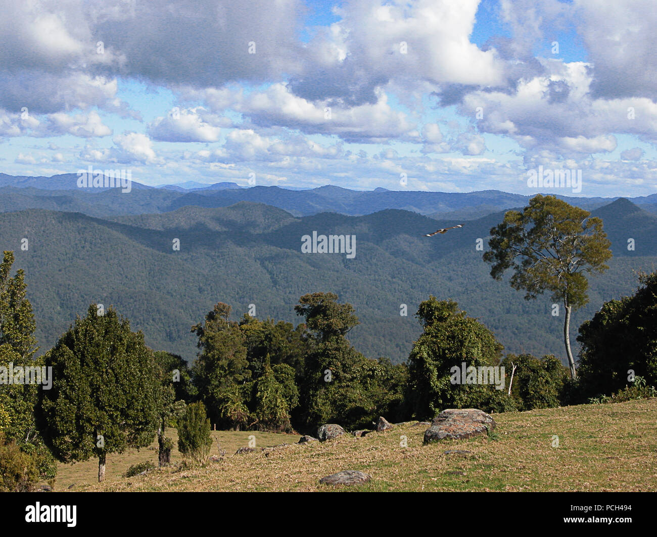 View from Griffiths Lookout at the end of Mountain Top Road, Dorrigo Plateau, over the Bellinger River valley, New South Wales, Australia Stock Photo