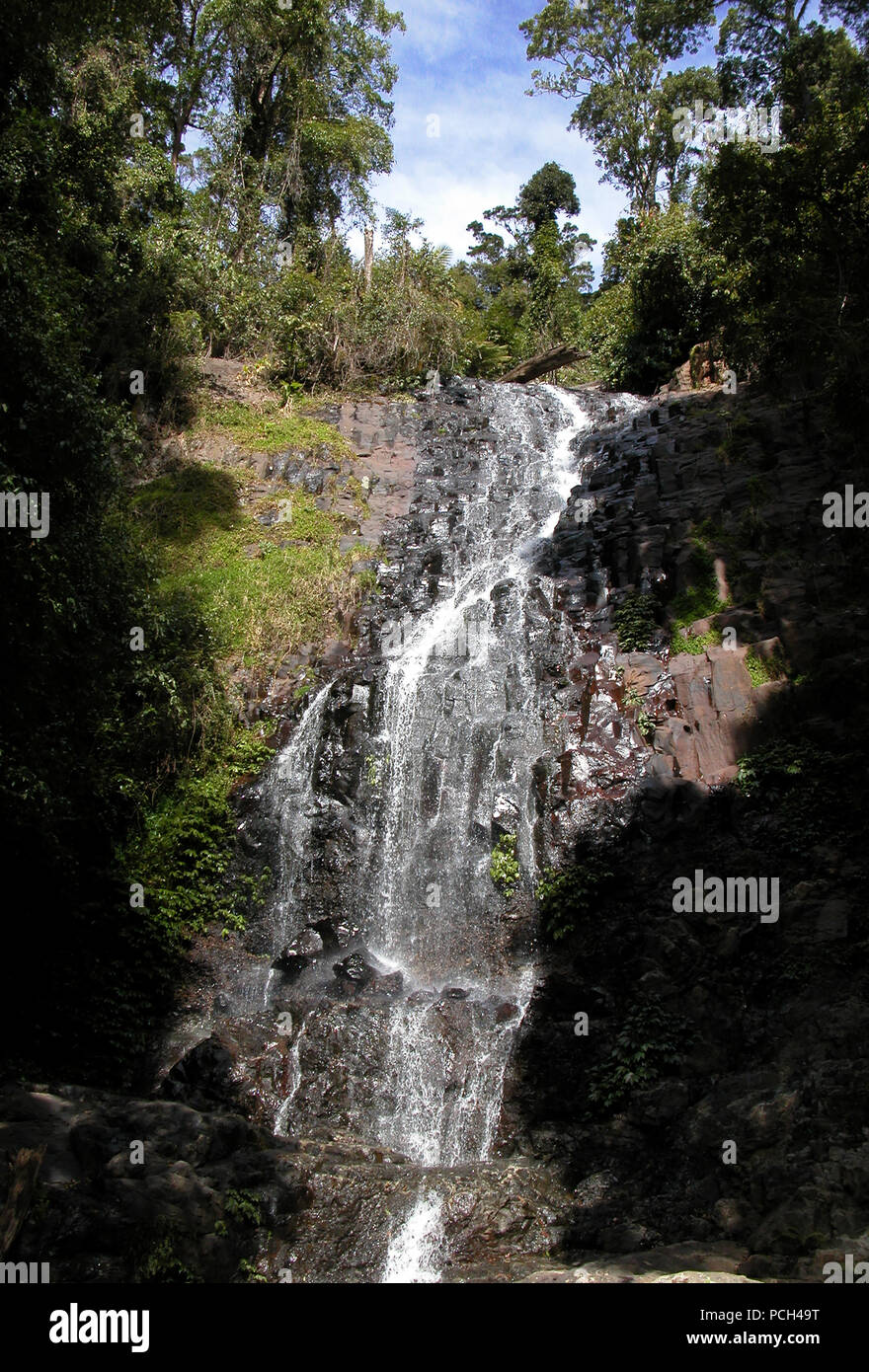 Tristania Falls on the Wonga Walk, Dorrigo National Park, NSW, Australia Stock Photo