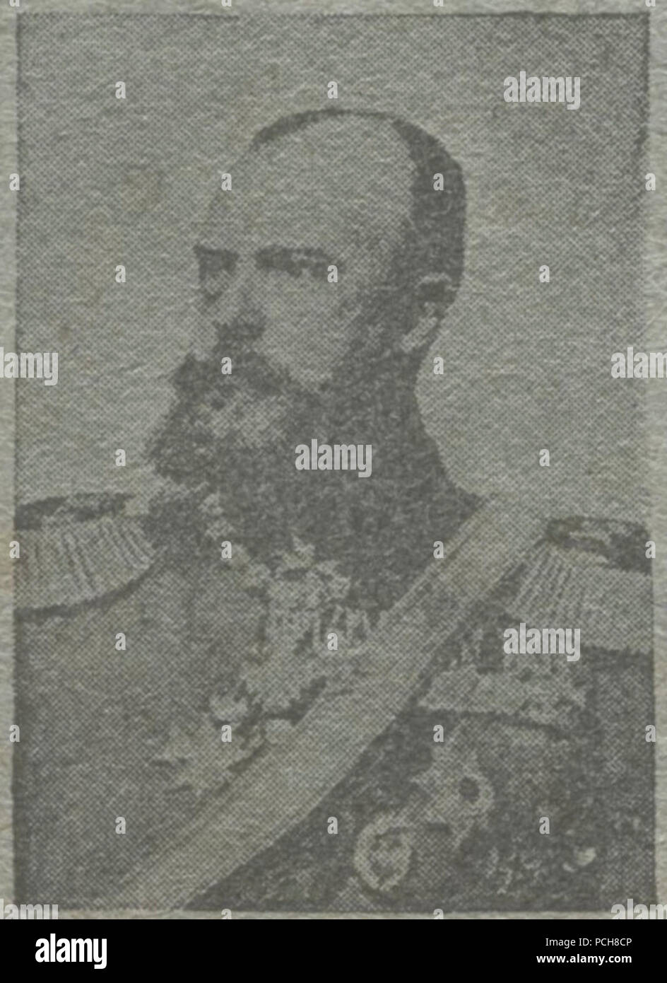 Albrecht Prince of Prussia 1895. Stock Photo