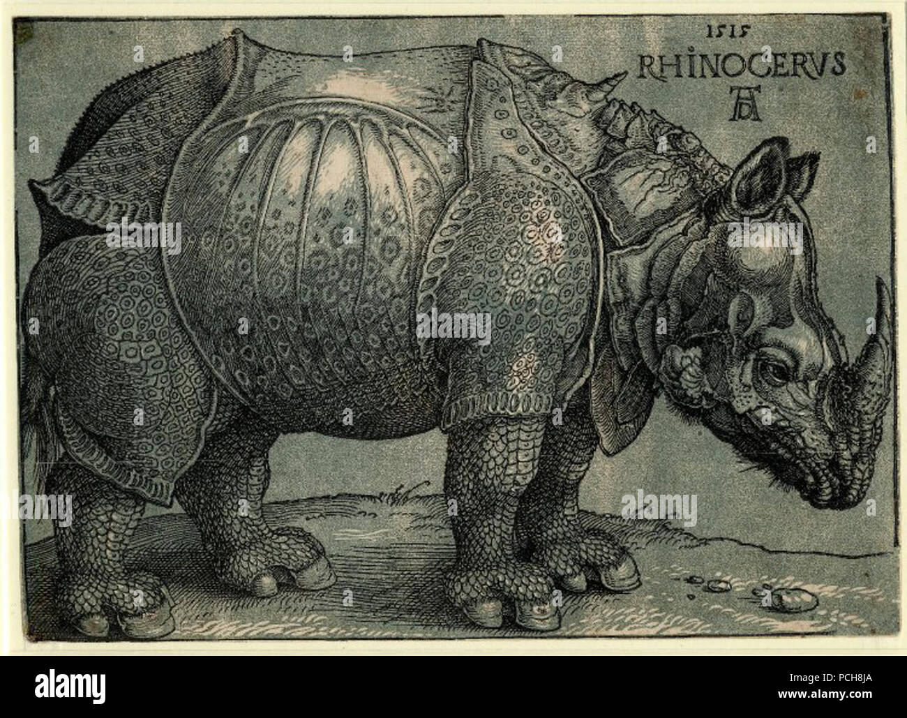 Albrecht Dürer (Janssen chiaroscuro woodcut ) - Rhinoceros - BM 19131015.110. Stock Photo