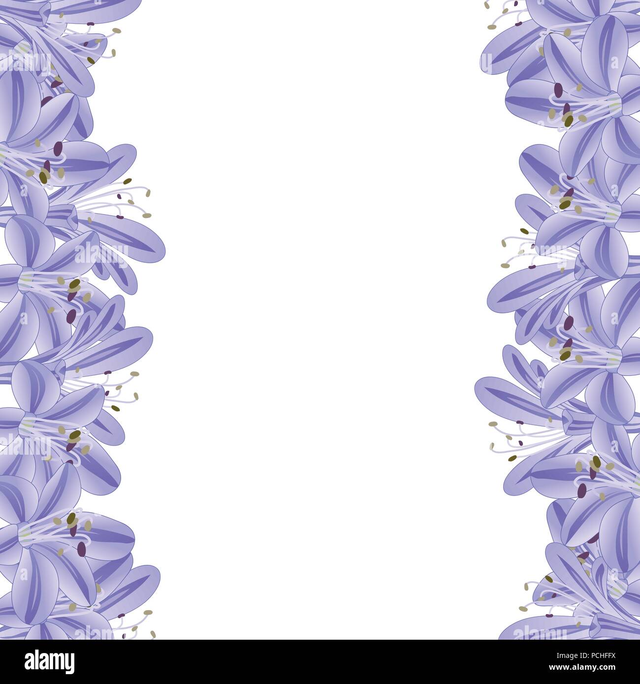 Blue Purple Agapanthus Border. Vector Illustration. Stock Vector