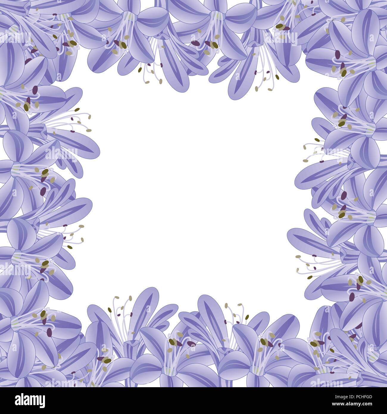 Blue Purple Agapanthus Border. Vector Illustration. Stock Vector