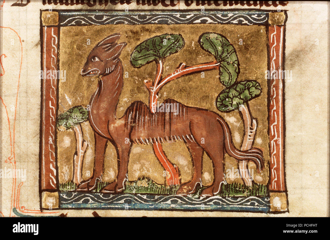 Alay (camel) - Der naturen bloeme - Jacob van Maerlant - KB KA 16 ...