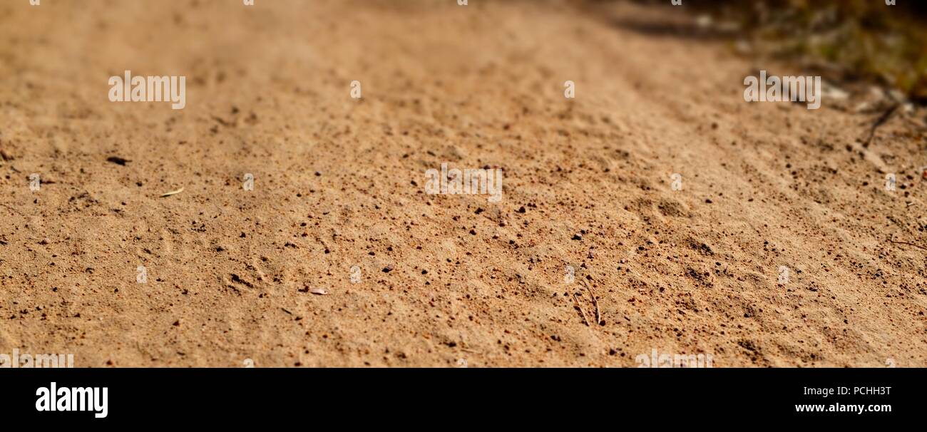 Bird footprints and tyre tracks on a dry gravel and dirt road, Townsville, Queensland, Australia Stock Photo