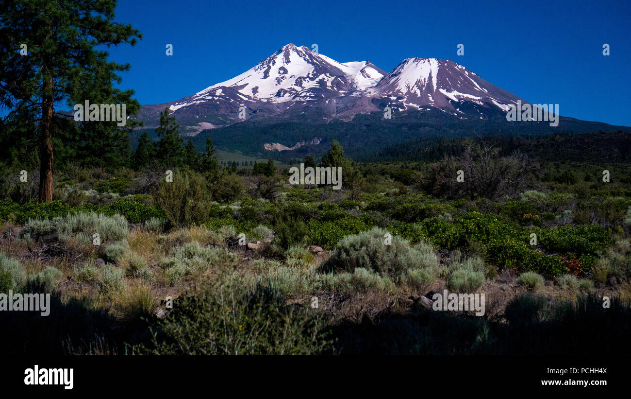 Mt Shasta, CA Stock Photo