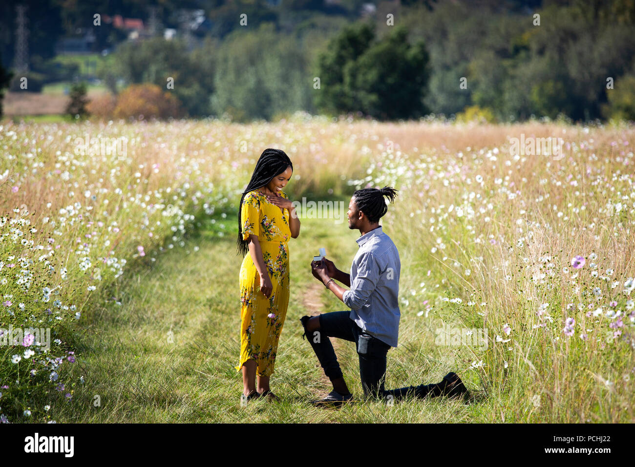 African man proposing to African woman in field Stock Photo