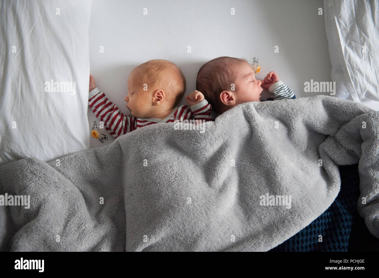 newborn baby twins